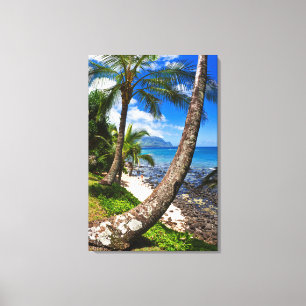 Palm Trees Along Hideaways Beach Canvas Print