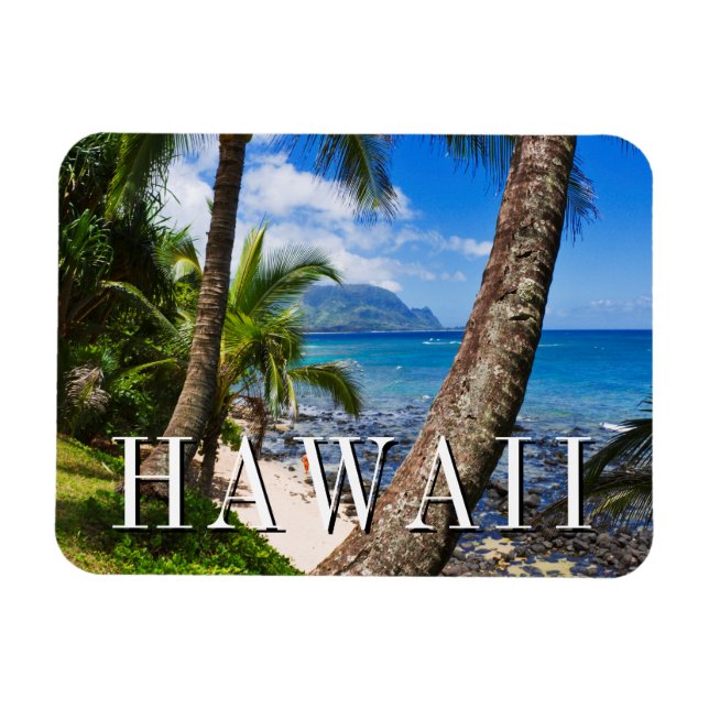 Palm Trees Along Hideaways Beach Magnet (Horizontal)