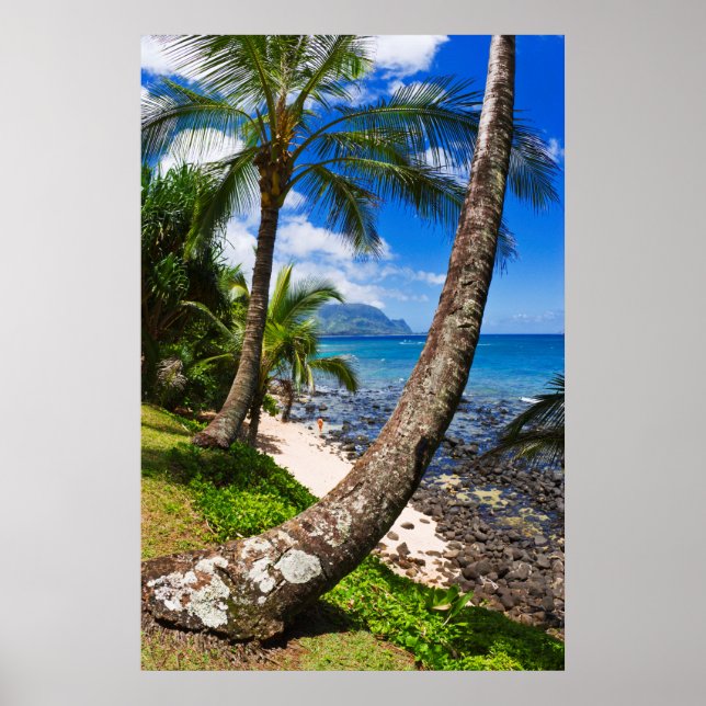Palm Trees Along Hideaways Beach Poster (Front)