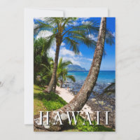 Palm Trees Along Hideaways Beach