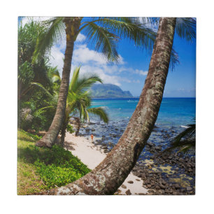 Palm Trees Along Hideaways Beach Tile