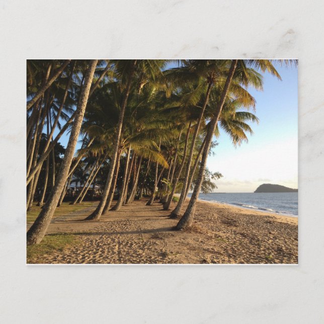 Palm trees and beach postcard (Front)