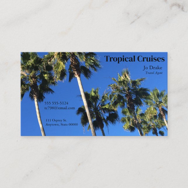 Palm trees and blue skies business card (Front)