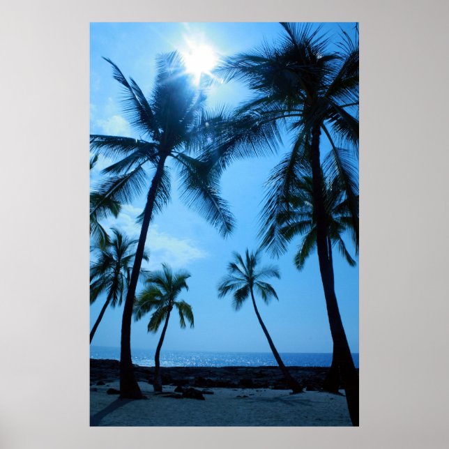 Palm Trees and Blue Skies Poster (Front)