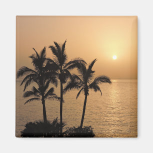 Palm Trees and Romantic Sunset Magnet