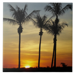 Palm trees and sunset, Mindil Beach, Darwin Tile