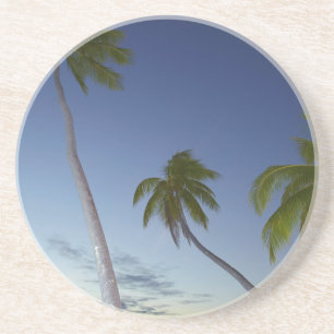Palm trees and sunset, Plantation Island Resort Coaster