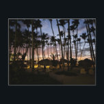 Palm trees and sunset postcard<br><div class="desc">Palm trees and sunset postcard in DR</div>