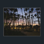 Palm trees and sunset postcard<br><div class="desc">Palm trees and sunset postcard in DR</div>