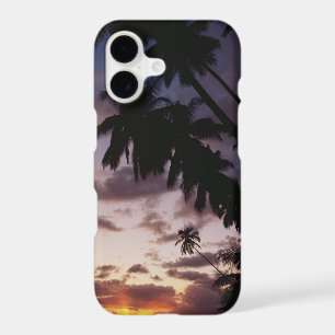 Palm Trees at sea