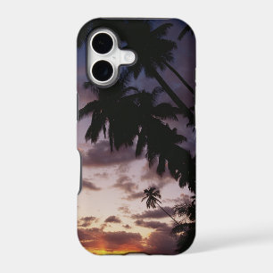 Palm Trees at sea
