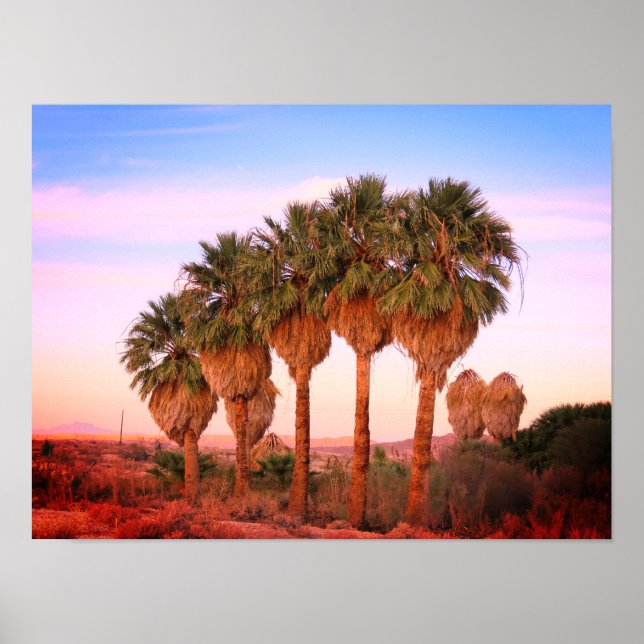 Palm Trees at Sunset Poster (Front)