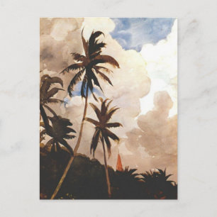 Palm Trees, Bahamas Postcard