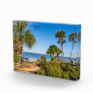 Palm Trees Bayside Morning Photo Block