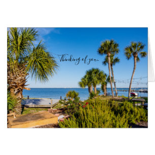 Palm Trees Bayside Morning Thinking Of You Card