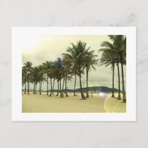 Palm Trees Beach Postcard