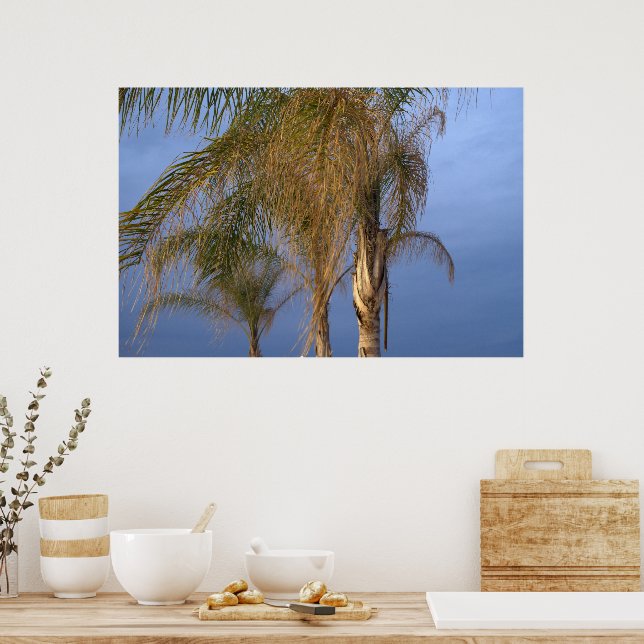Palm Trees Blowing in the Summer Breeze Poster (Kitchen)