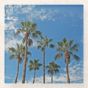Palm Trees Brilliant Blue Sky Photo Tropical Glass Coaster