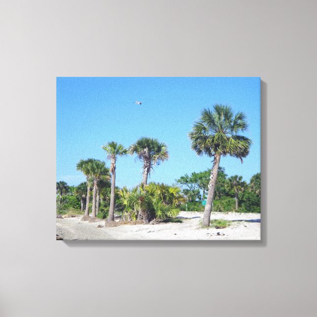 Palm Trees canvas print (Front)