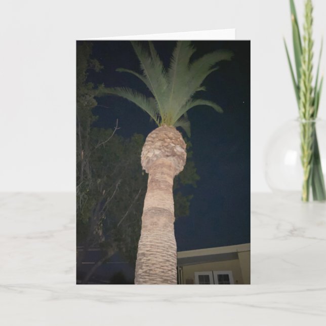 Palm Trees 🌴  Card (Front)