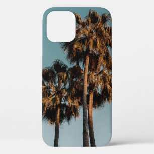 Palm trees iPhone 12 case