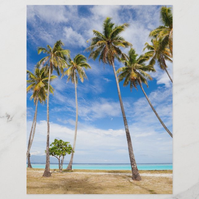 Palm trees flyer (Front)