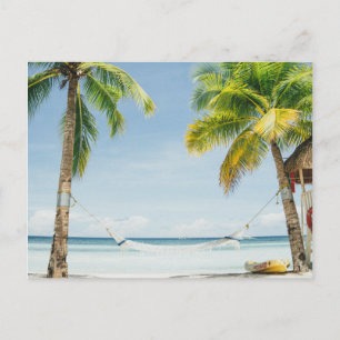 Palm Trees & Hammock Postcard
