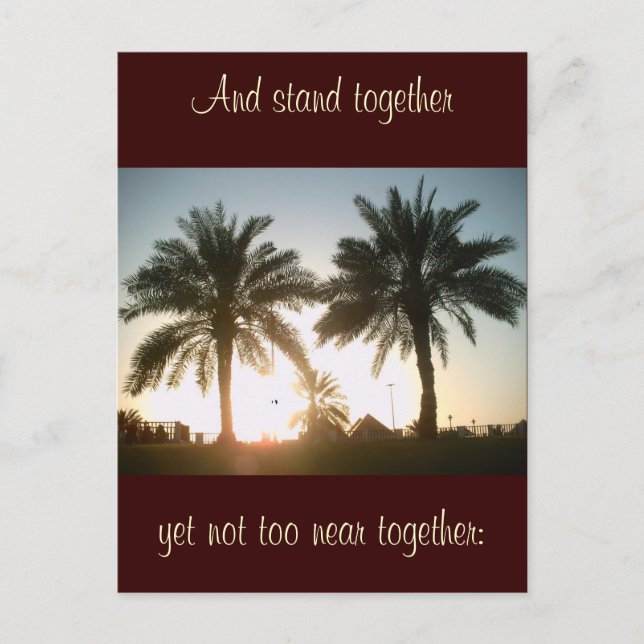 Palm trees in Doha Postcard (Front)