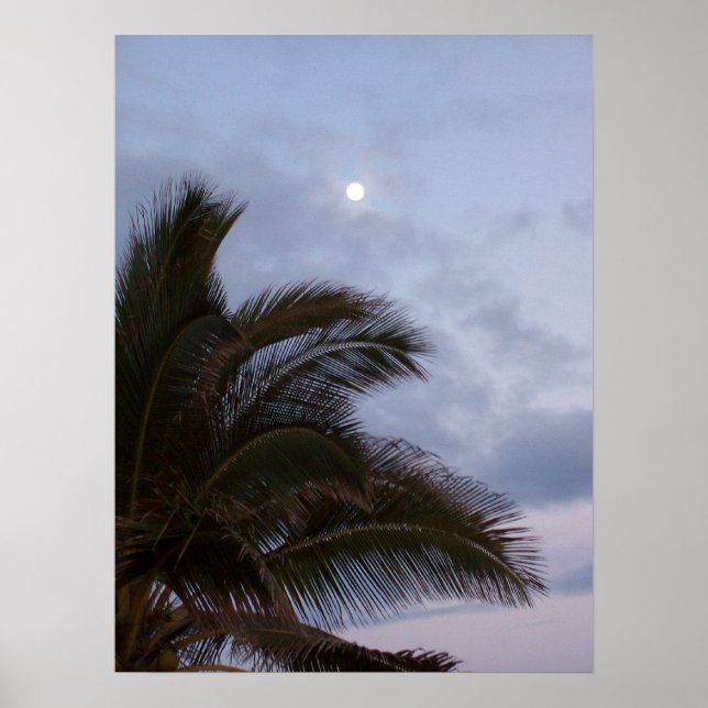 Palm Trees in Paradise  Poster (Front)