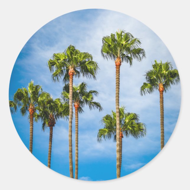 Palm Trees in San Diego, California Classic Round Sticker (Front)