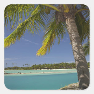 Palm trees & lagoon, Musket Cove Island Resort Square Sticker
