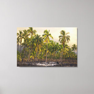 Palm trees, National Historic Park Pu'uhonua o Canvas Print