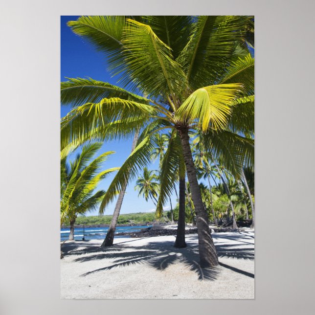 Palm trees, National Historic Park Pu'uhonua o Poster (Front)