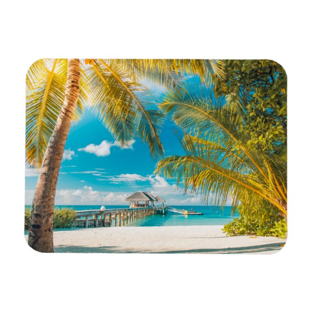 Palm Trees on A Beautiful Sunset Magnet (Horizontal)