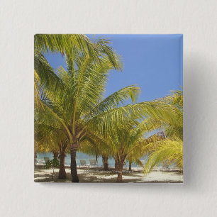 Palm Trees on a Honduras White Sand Beach 2 Inch Square Button