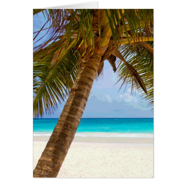 Palm Trees on Beach Blue Sea & Sky (Front)