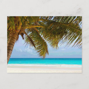 Palm Trees on Beach Blue Sea & Sky Postcard