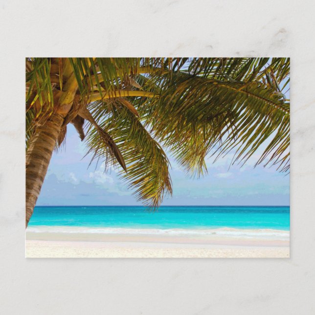 Palm Trees on Beach Blue Sea & Sky Postcard (Front)