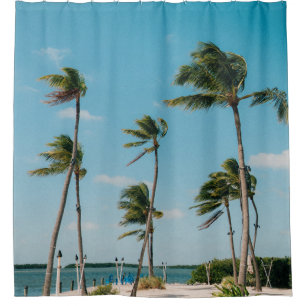 Palm trees on beach shore in the morning