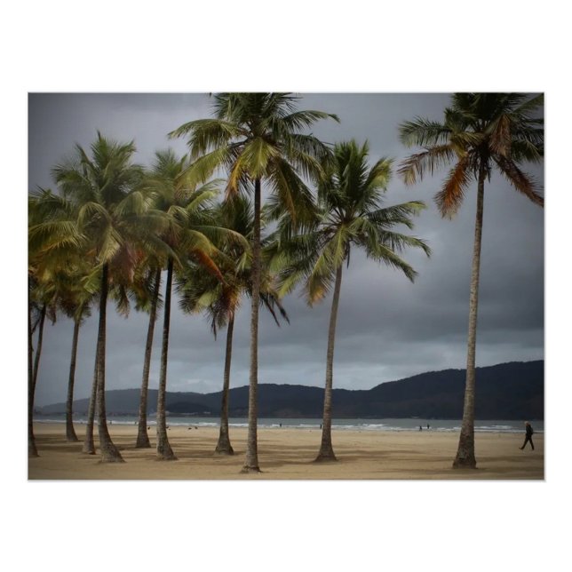 Palm trees on Gonzaga Beach, Santos, Brazil Poster (Front)