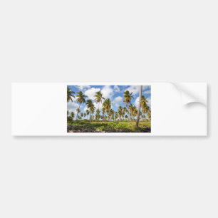 Palm trees on the beach of Isla Saona Bumper Sticker