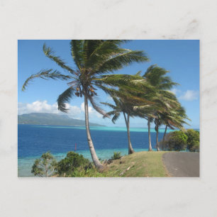 Palm Trees on the Island of Taha'a    Tahiti Postcard