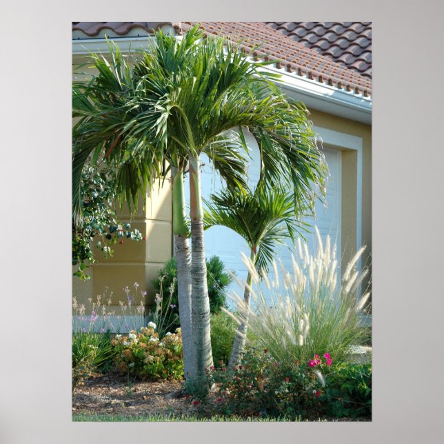 Palm trees Ornamental grass Poster (Front)