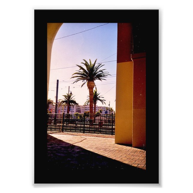Palm Trees Photo Print (Front)