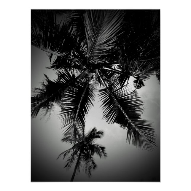 Palm trees poster (Front)