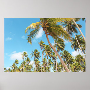 Palm trees poster