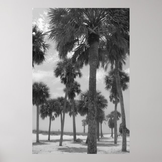 Palm Trees Poster (Front)
