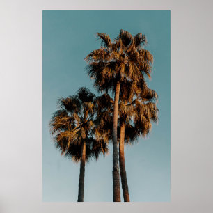 Palm trees poster