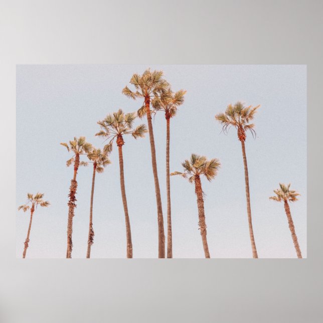 PALM TREES POSTER (Front)