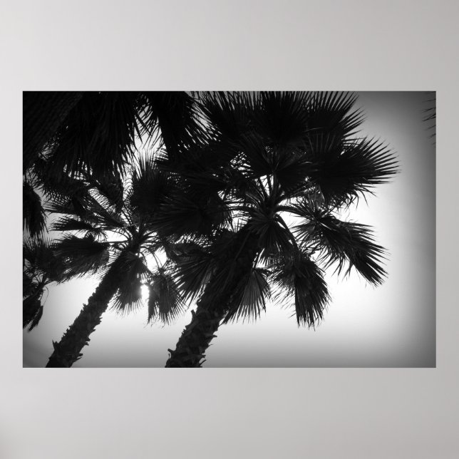 Palm Trees Poster (Front)
